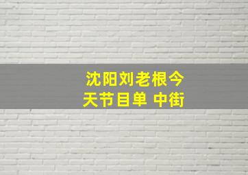 沈阳刘老根今天节目单 中街